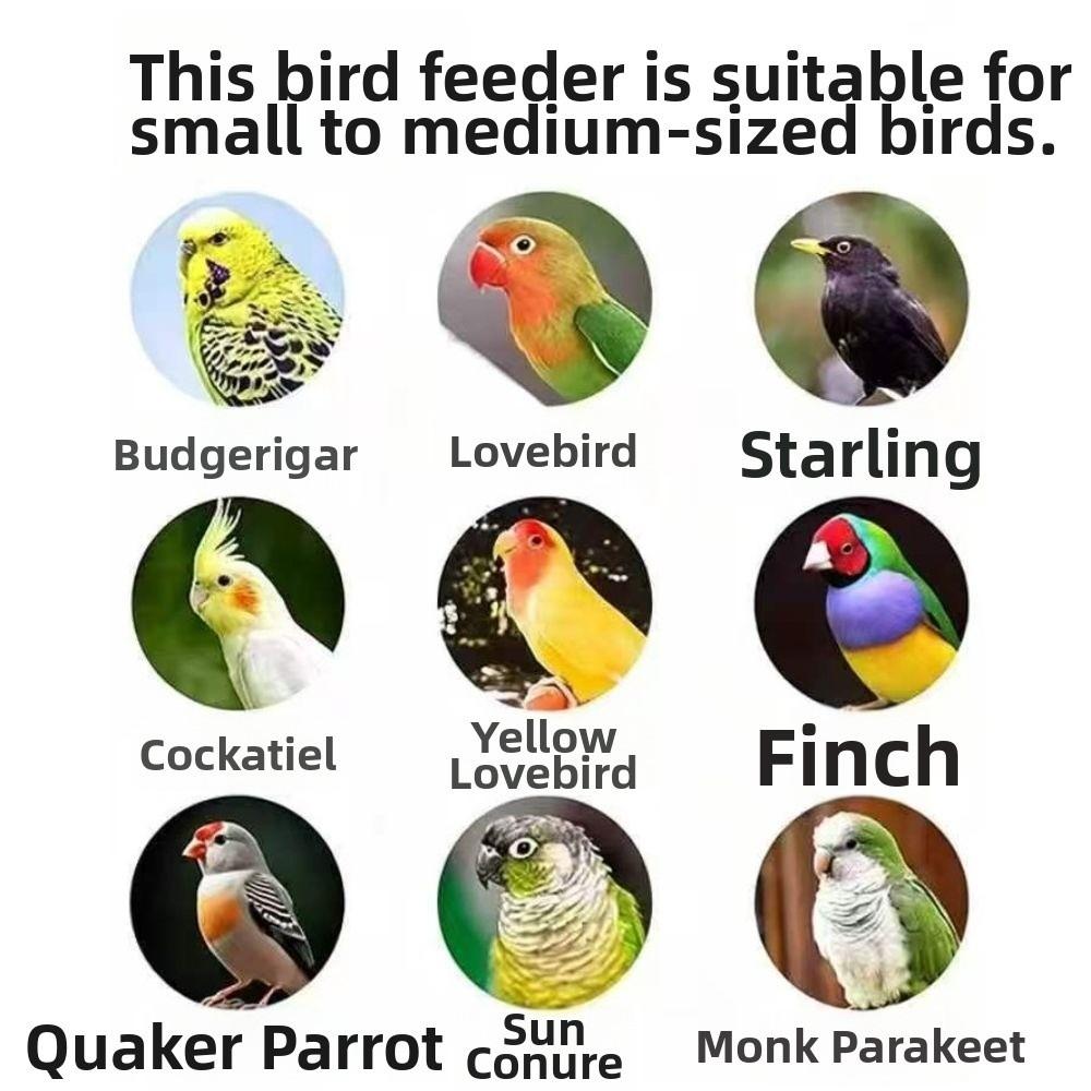 Splash Proof Hanging Parrot Feeder Anti-Spill Birds Food Container Pet Supplies