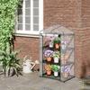 Greenhouse with Shelves, Winter-Proof Foil Greenhouse Hothouse for Balcony, 69 x 49 x 125 cm, Transparent