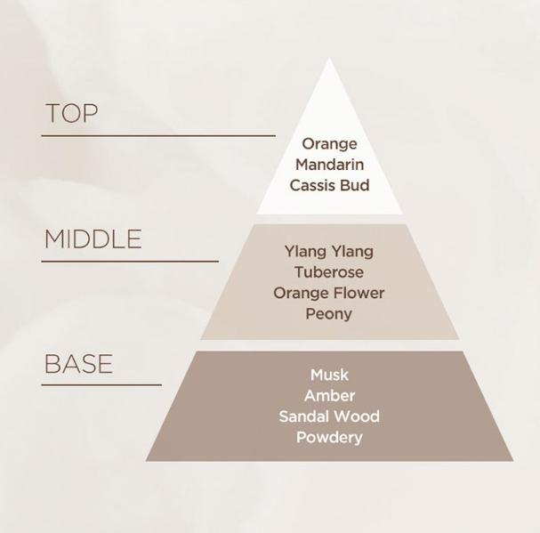 Mise en scène Salon 10 Proteinový šampon pro extrémně poškozené vlasy 990 ml