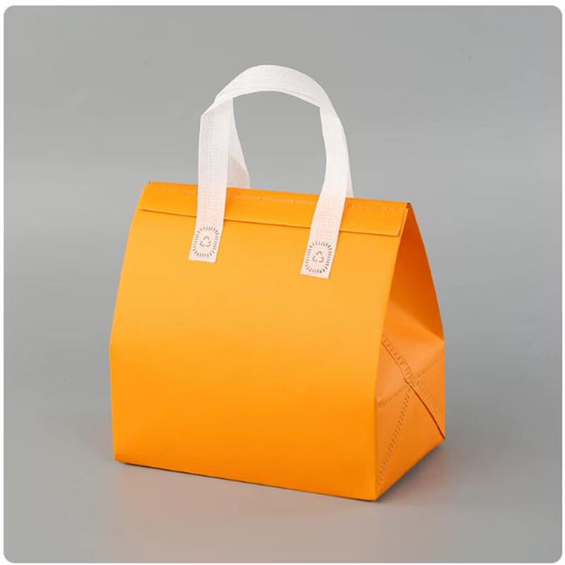 Saint Bailai Insulated Food Delivery Bags (Pack of 100) Large (26x17x26cm)