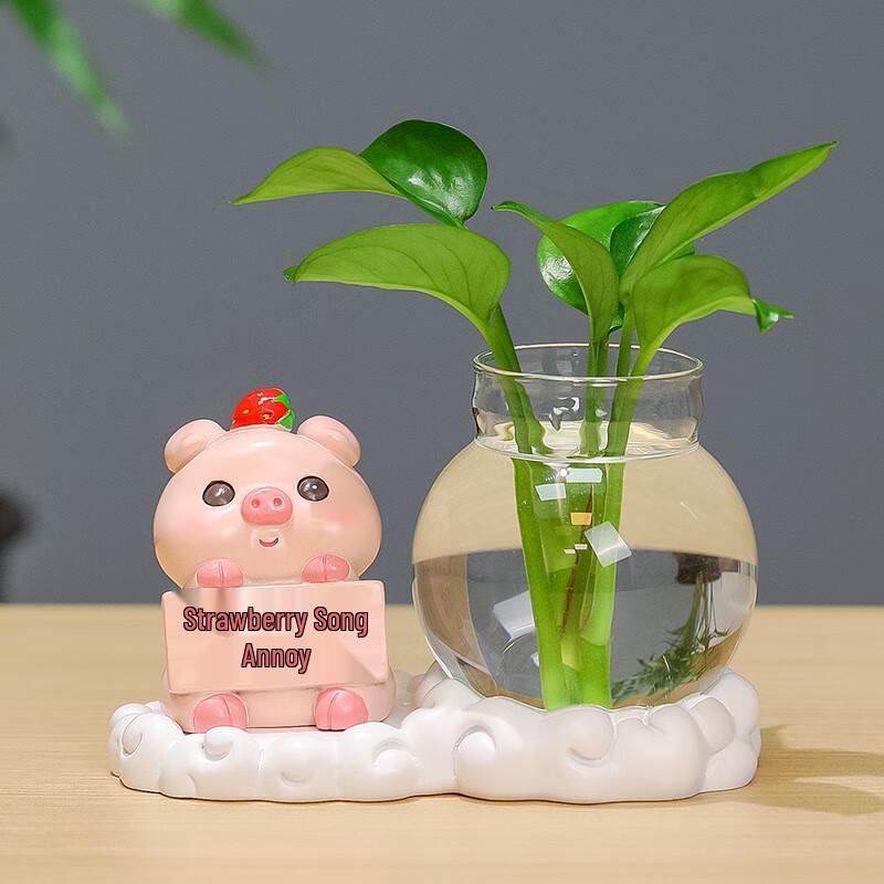 Desktop Decorative Hydroponic Ornaments