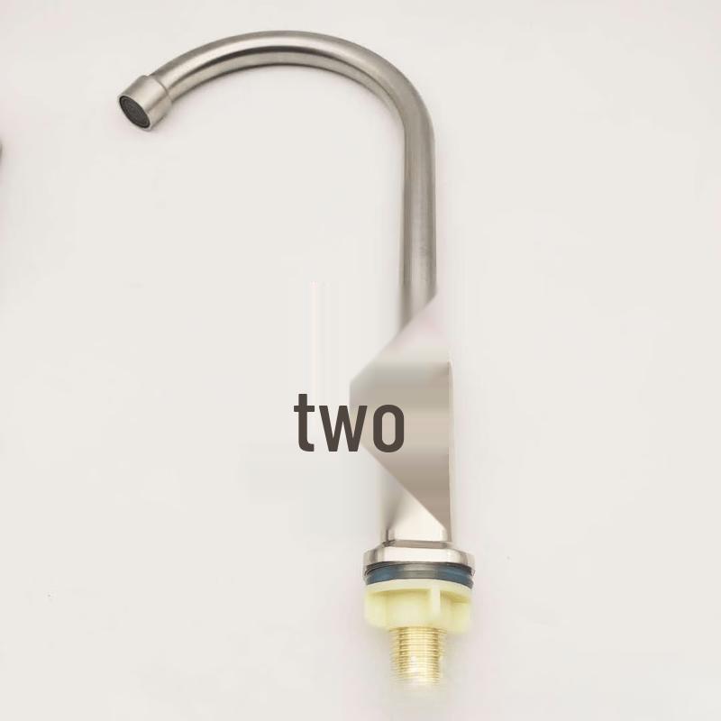 TLXT Brushed Wall-Mounted Single Cold Kitchen Faucet