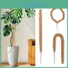 Jardinagem e paisagismo – Suporte de plantas