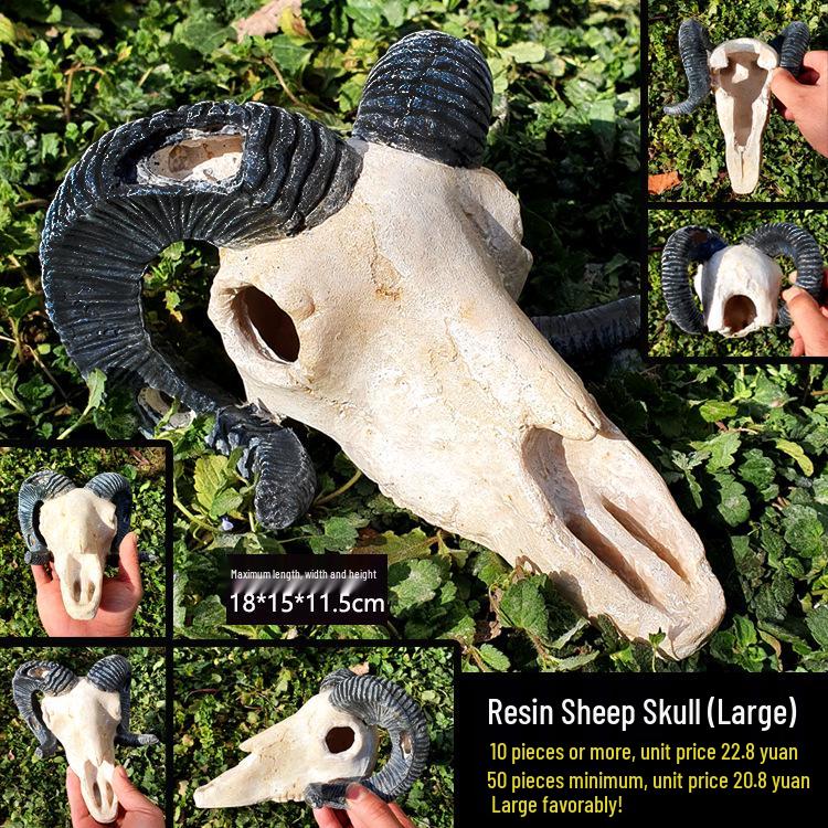 Akril Hüllőtenyésztő Doboz Dekoratív Koponyával