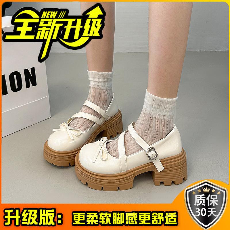French Round Head Platform Girls Small Leather Shoes 2025 New Spring and Autumn with Skirt Retro Mary Jane Thick Heel Single Shoes