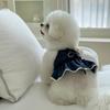Hund Jeanskjol Vår Sommar Par Hundkläder Teddyklänning Valp Andningsbara Kläder med Rosett Pärlapplikation