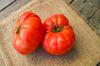 SAFLAX Garden In the Bag - Organic - Tomato - Rouge De Marmande - 10 Seeds - With Substrate In a Fitting Stand Up Bag - Solanum Lycopersicum