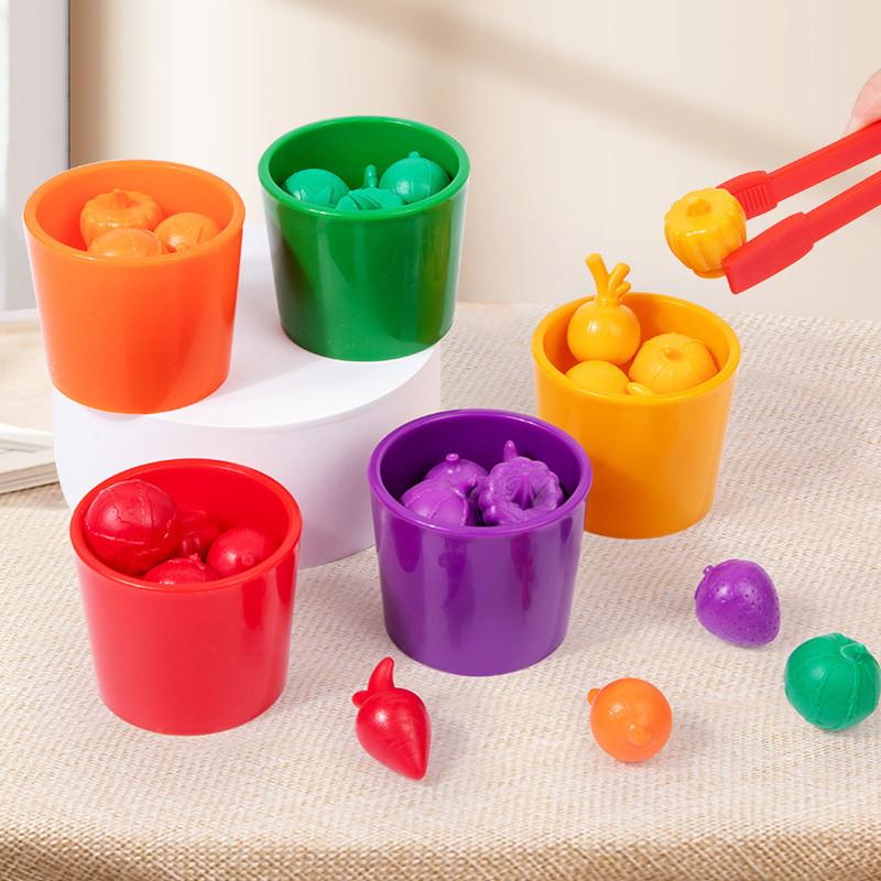 Recognition Wooden Color Fruit Vegetable Sorting Cup Educational Children Toy
