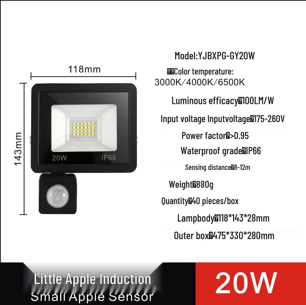 Remote-Control LED Floodlight with Human Body Induction, 110V Wide Voltage, for Outdoor Use in Europe and America