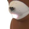 Regatta Great Outdoors Childrens/Kids Animal Keyring Torch