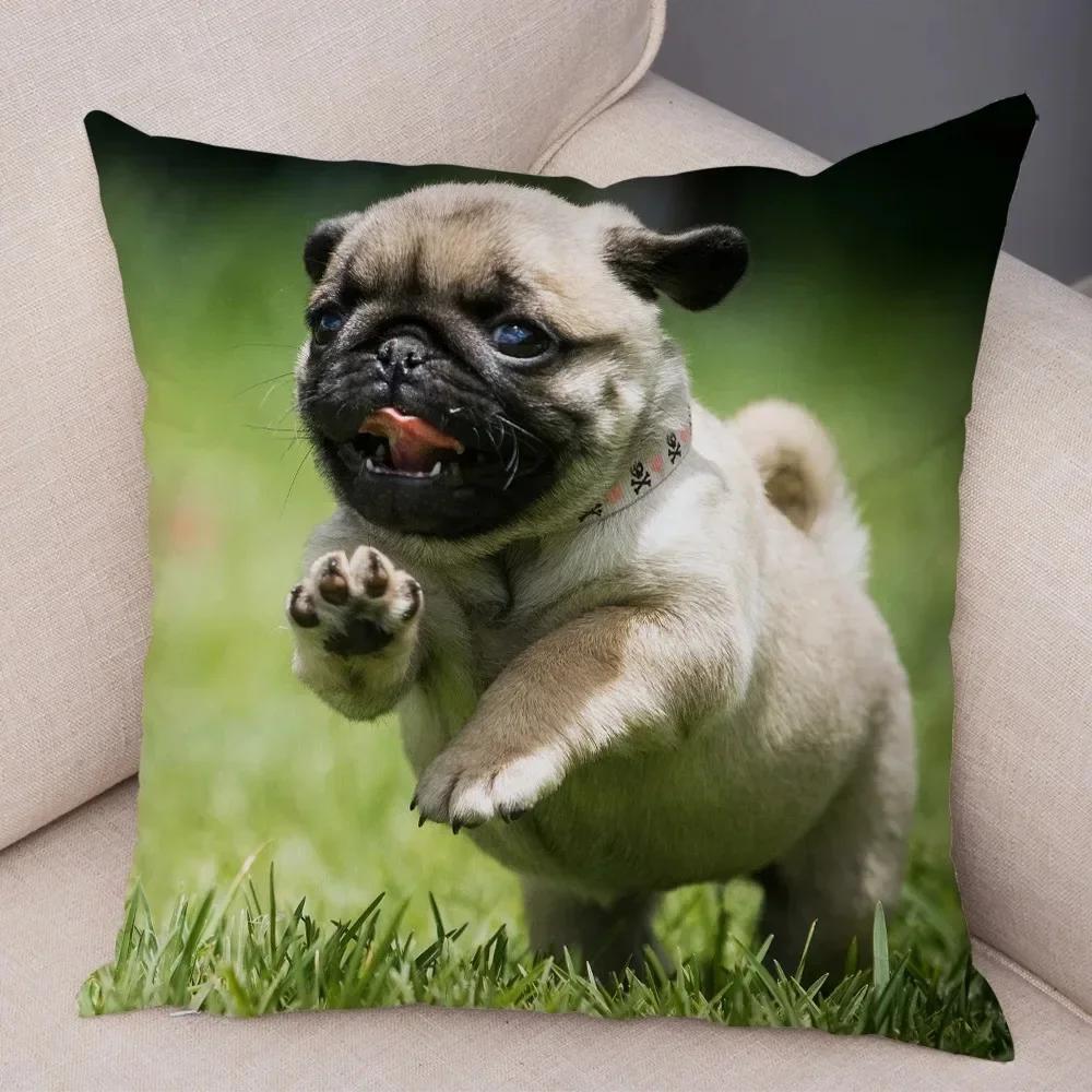 VIKAMA Nordic-Style Adorable Dog Cushion Cover Pug Print Cushion Cover Bedroom Living Room Sofa Decorative Cushion Cover