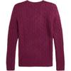 Polo Ralph Lauren Fw24 Slim Fit Cable Knit Crew Neck Solid Color Sweater Men sweater Plum 211581065023-500