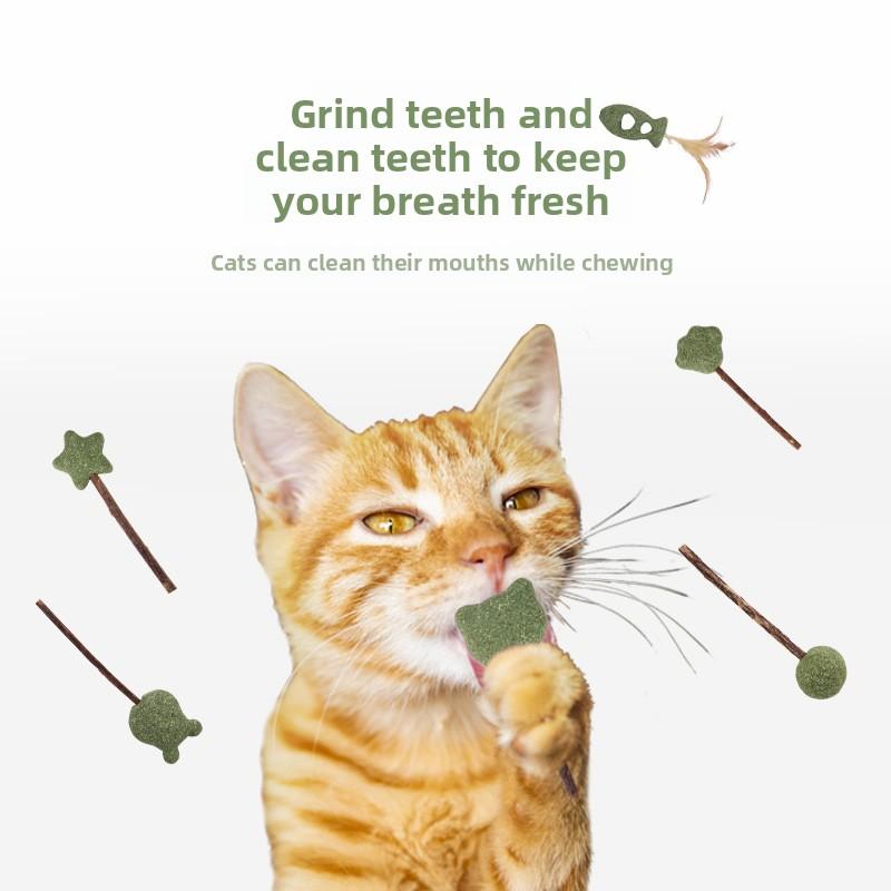 Cat Mint Lollipop, Teeth Cleaning and Grinding Wood Aster Stick, Cat Mint Feather Self-amusement