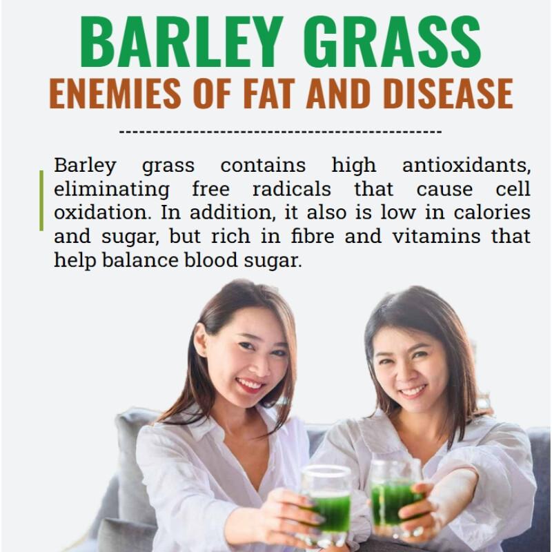 250g Organic Barley Grass Powder Original Moistening Intestines