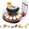 Incubadoras para Chocar Ovos Incubadora Automática de Ovos com Controle de Temperatura Exibição de Umidade Capacidade para 12 Ovos para Ovos de Galinha Pato Ganso Digital