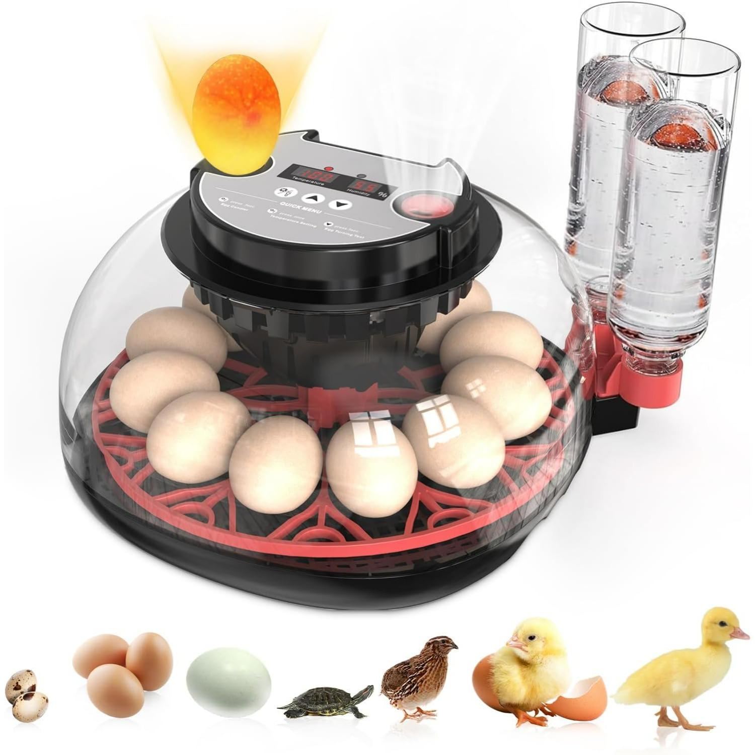 Incubators for Hatching Eggs Automatic Egg
