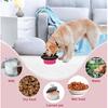 Collapsible Dog Bowls, Portable Travel Pet Feeder Bowl, 2 in 1 Expandable Silicone Pet Food & Water Double Bowl, Cat Feeder Dish with Carabiner for