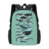 Baleen Whales Pattern Design Laptop Travel School Bags Baleen Whale Cute Funny Humour Wildlife Nature Science Zoology Species