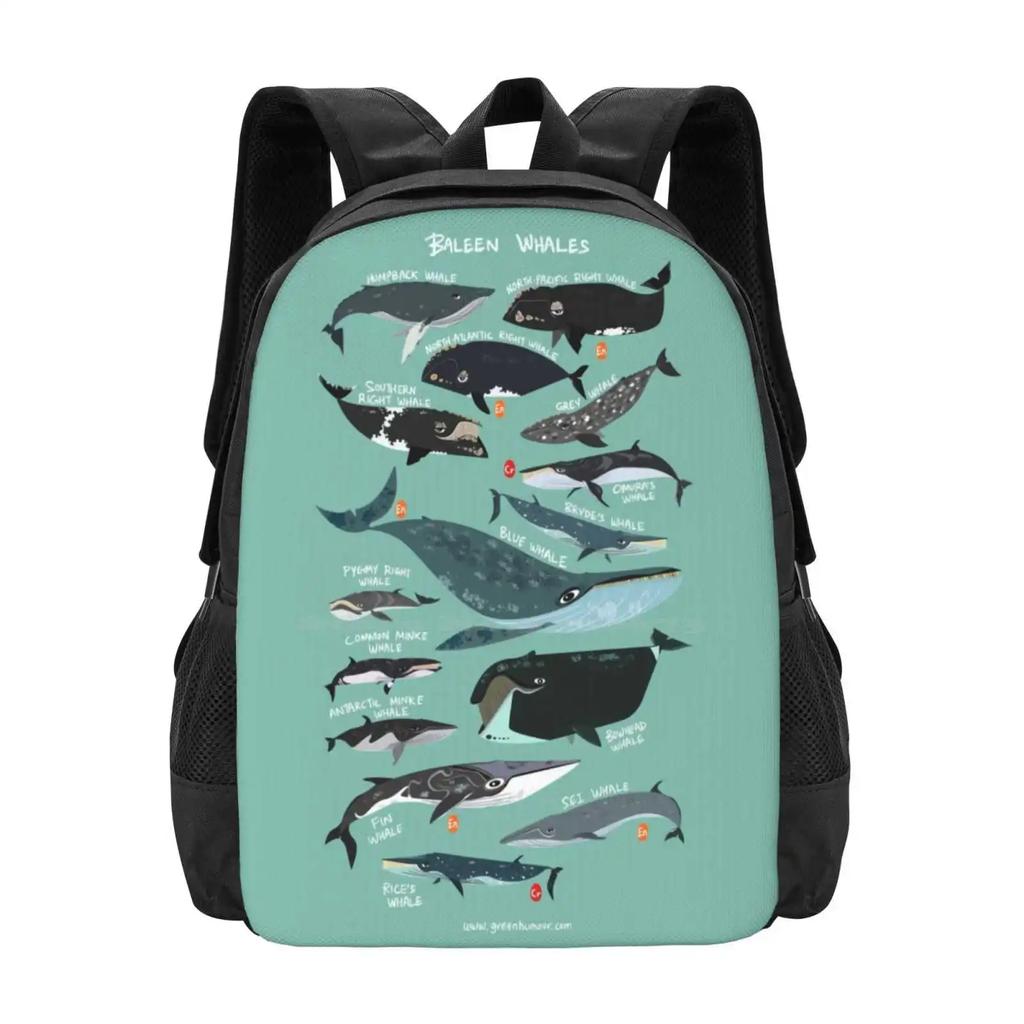 Baleen Whales Pattern Design Laptop Travel School Bags Baleen Whale Cute Funny Humour Wildlife Nature Science Zoology Species