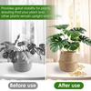 5/6Pcs Plant Stem Support Metal Stem Grapple Holder Reusable Secured Plant Clips For Climbing Plants To Grow Upright Healthier