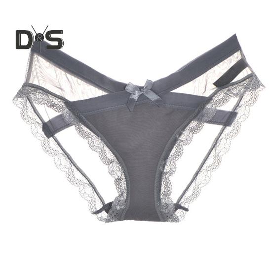 Women's Sexy Panties Lace See Through Underwear Low Rise Thin Mesh Sheer Underpants Breathable Bikini Briefs