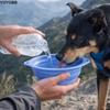 Large Capacity Foldable Silicone Bowl Double Ear Buckle Anti-slip Collapsible Dog Bowl Leak Proof Macaron Color