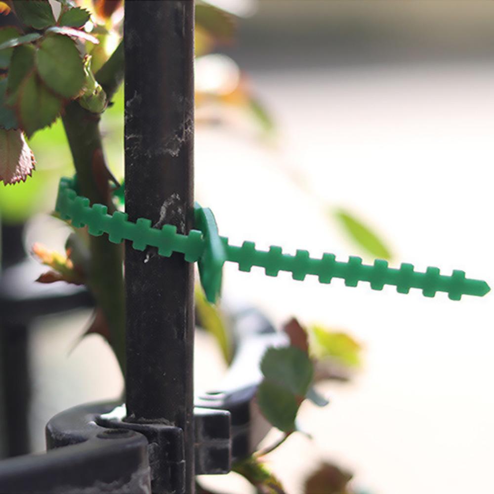 Tree Garden Tool Greenhouse Climbing Vine Clamp Fixed Buckles Plant Support Clip Cable Ties