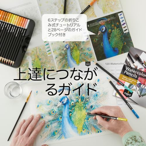 Castle Art Surprise 120-Piece Watercolor Pencil Set | Vibrant Pigments | Draw and Color at the Same Time | For Adult Artists and Professionals | Prote