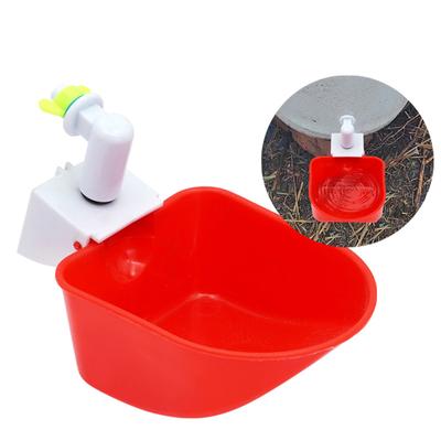 Kuş – Besleme ve Sulama Malzemeleri