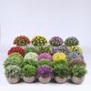 Simulation Plant Potted Plant Office Desktop Decoration Green Plant Ornament Potted Plant Grass Ball Milan Green Plant Eucalyptus