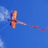 Upgrade Classical Dragon Kite, Easy to Fly for Beginners and Adults, 63-Inch Single Line with Tail