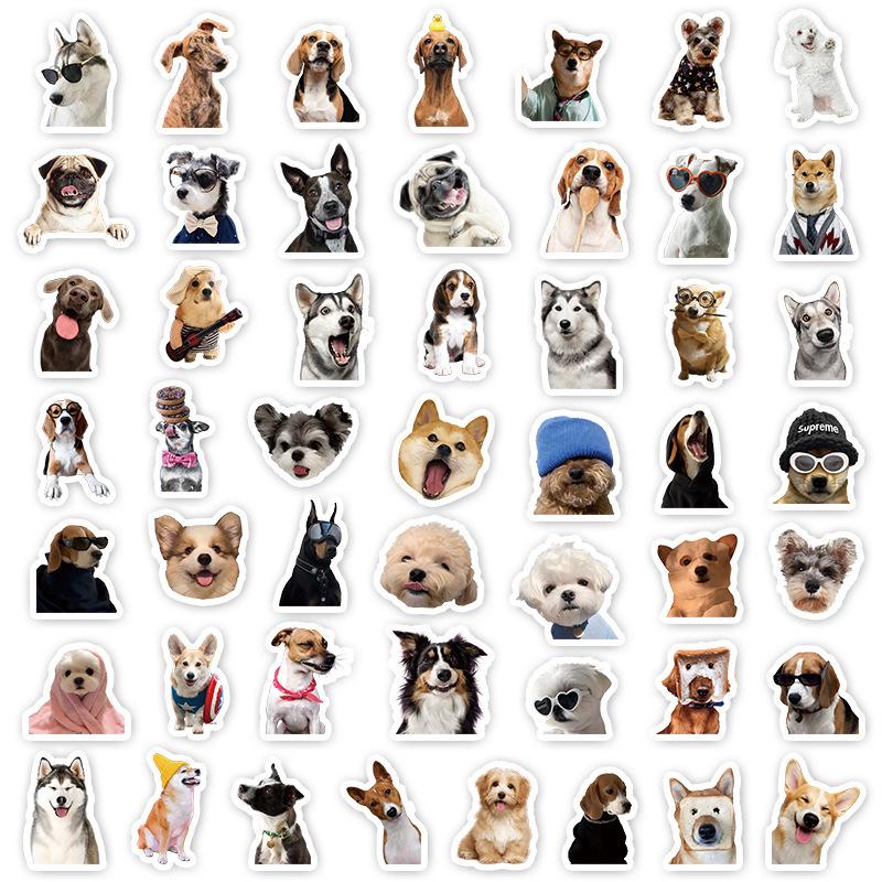 50 Cartoon Stickers: INS Style Cute Diary & Journal Decorations for Kids