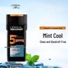 L'Oréal Men's Mint Cool Anti-Dandruff Shampoo
