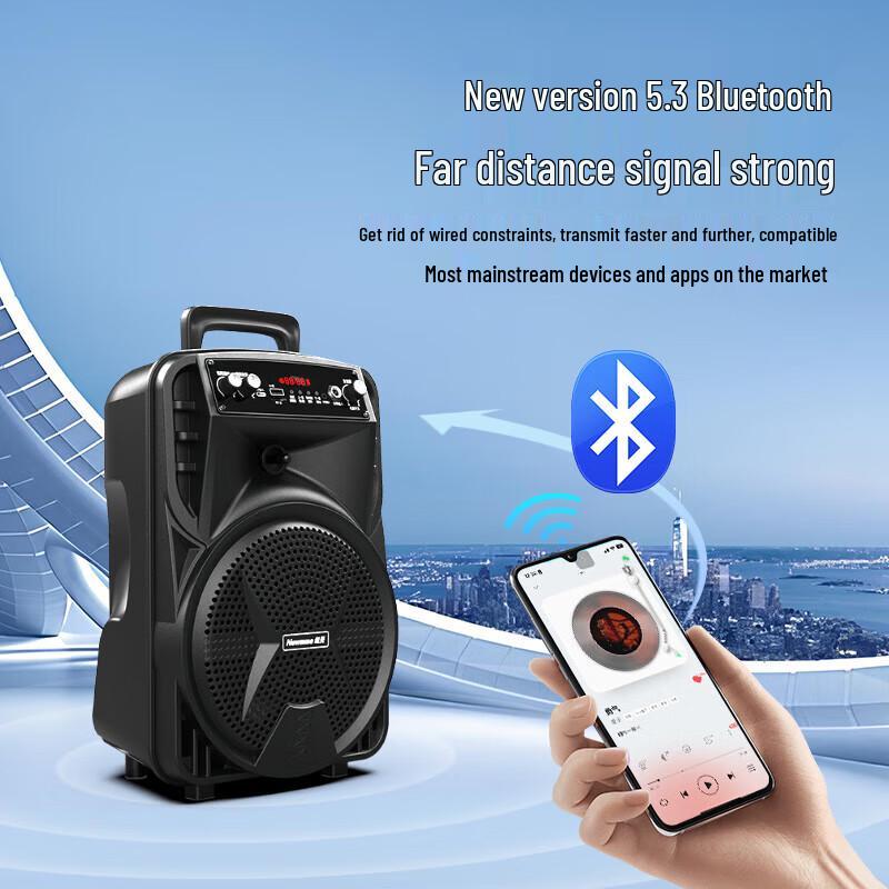 Newman N509 Portable Bluetooth Karaoke Speaker CN Plug (adapter Included)
