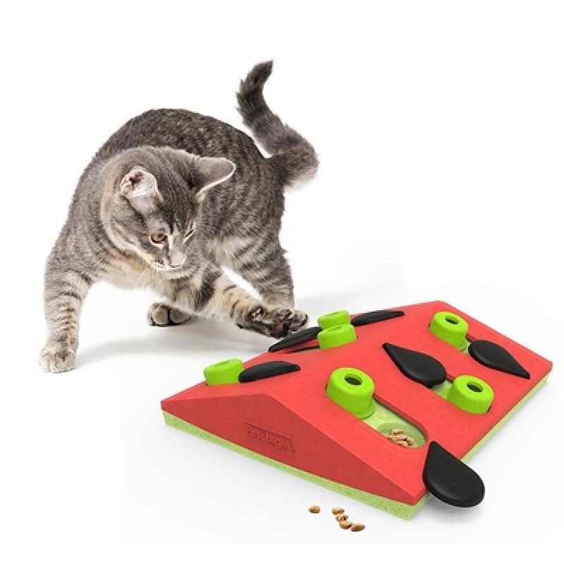 Cat Melon Madness Lv2 Nosework Brain Development Toy