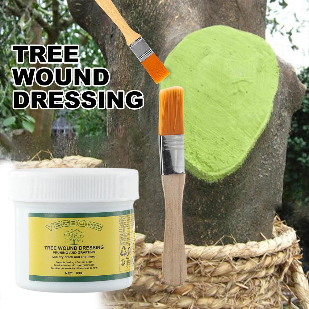 Agente cicatrizzante per la protezione degli alberi da giardino, pasta per innesti di alberi, medicazione per ferite da potatura, sigillante con pennello, bonsai, ferite, età M6S6