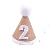 Childrens Birthday Party Decor Baby Milestone Hat With Number 2 For 2nd Year Celebration