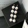New Personality Wild Simple Temperament Earrings Exaggerated Large Pearl Tassel Long Earrings Beaded Prevent Allergy Earrings