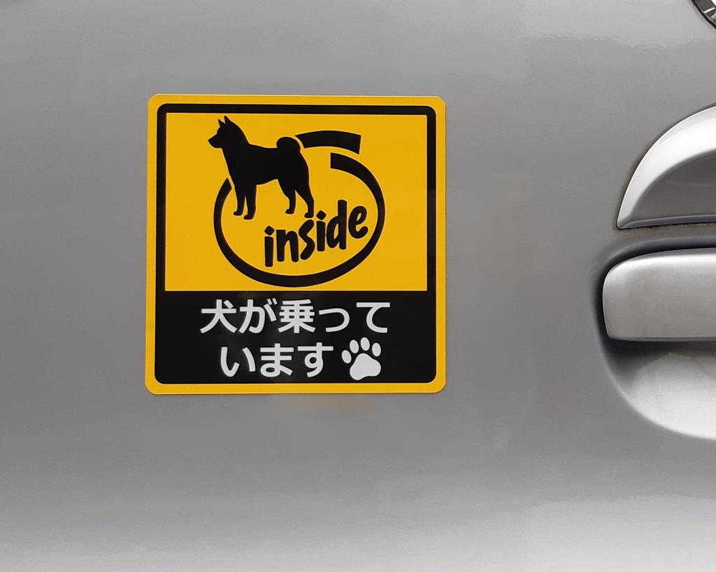Car Sticker, Dog Riding, Magnetic Sheet for Car, Dog inside Funny Sticker, UV Laminated