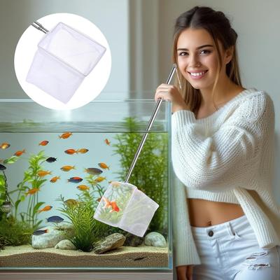 Ryby a mořští živočichové – Údržba akvária