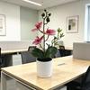 Butterfly Orchid Artificial Potted Plant For Home Decor And Event Arrangements