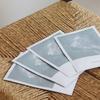 Viniferine Brightening Mask (10 sheets)