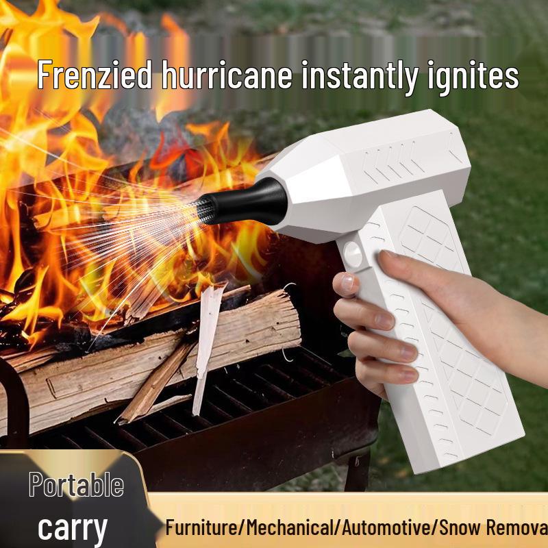 

High-Power Turbo Fan Electric Hair Dryer & Duster Standard