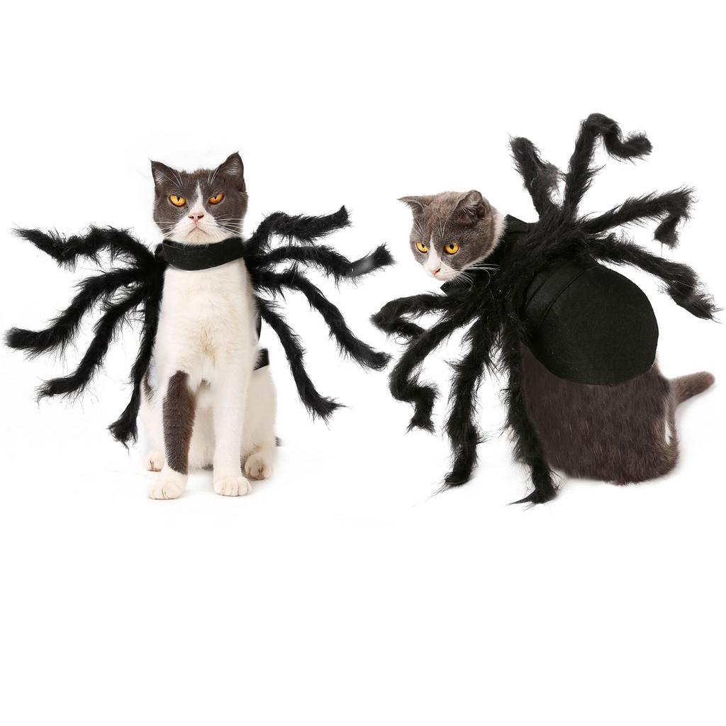 Spider Pet Costume Adorable Halloween Outfit for Small Dogs Cats Polyester Black Size S M Quick Fastening Tape Party Photograph Daily Wear