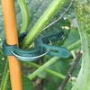 20pcs Plant Fixed Clips Reusable Garden Greenhouse Bracket Garden Plants Vine Climbing Clamp Flower Tomato Support Fastener