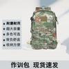 Guard Camp Tactical Camouflage Backpack