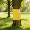 Double-Sided Sticky Insect Trap Tape