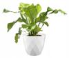 Flowerpot with Saucer, White, Decorative, Plastic, 275 Cm
