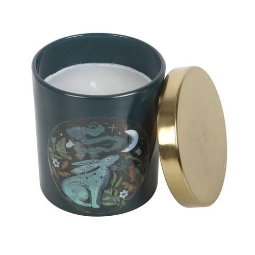 Something Different Wild Tulips Midnight Hare Candle