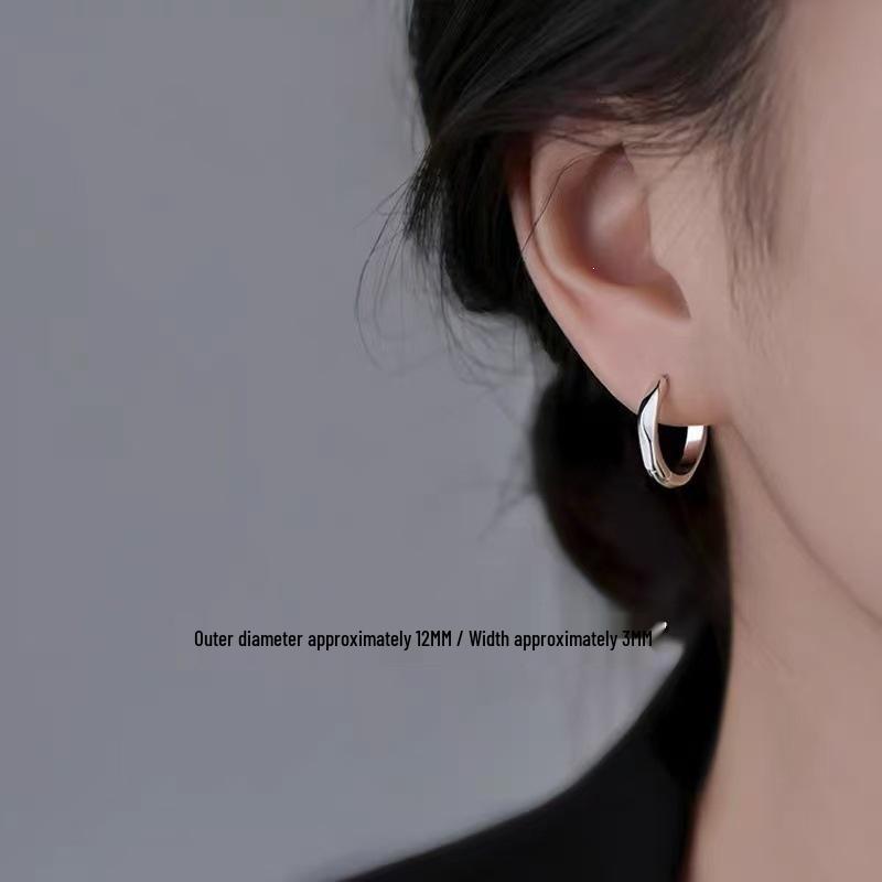 2024 New High-End Irregular Hoop Stud Earrings - 925 Sterling Silver for Women